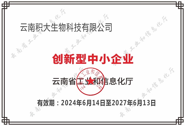创新型中小企业